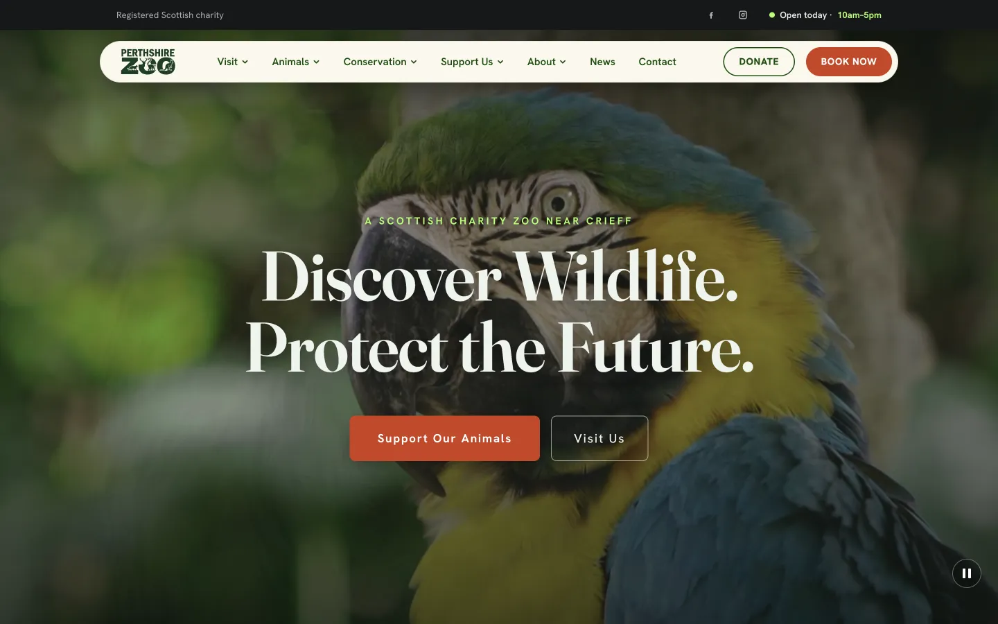 Perthshire Zoo’s website on a desktop: Discover Wildlife. Protect the Future., with Support Our Animals and Visit Us buttons and Donate and Book Now in the header.